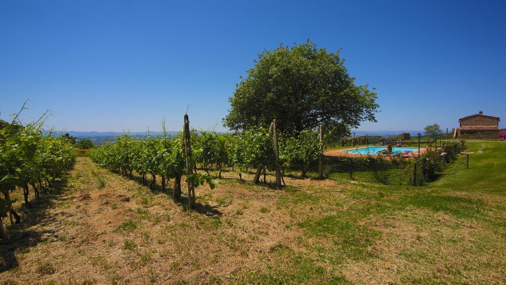 Tenuta Angelici Winery Casa Contea With Pool And Panoramic Pool Cortona Βίλα Terontola Δωμάτιο φωτογραφία