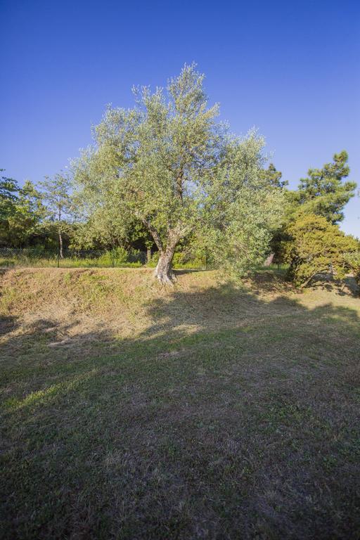 Tenuta Angelici Winery Casa Contea With Pool And Panoramic Pool Cortona Βίλα Terontola Δωμάτιο φωτογραφία